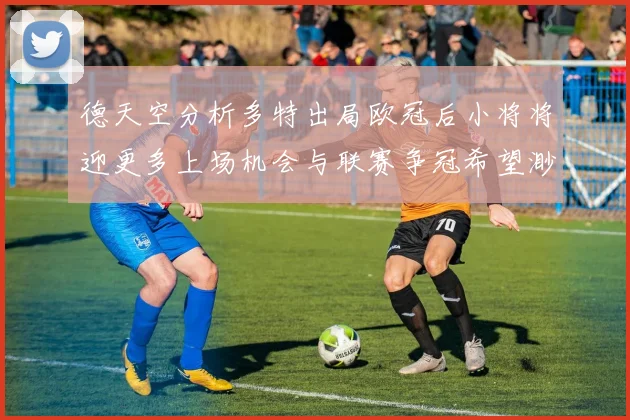 德天空分析多特出局欧冠后小将将迎更多上场机会与联赛争冠希望渺茫