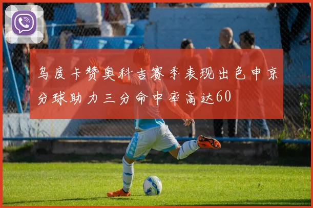乌度卡赞奥科吉赛季表现出色申京分球助力三分命中率高达60