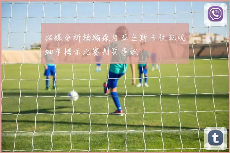 拓媒分析杨瀚森与亚当斯卡位犯规细节揭示比赛判罚争议