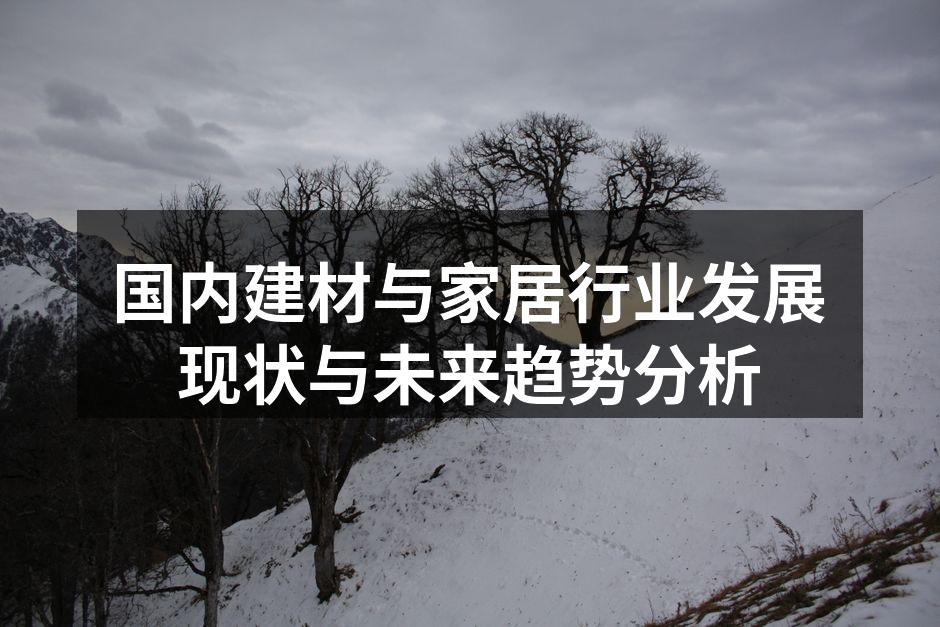 国内建材与家居行业发展现状与未来趋势分析